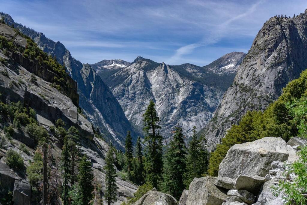 Sequoia Splendor, Inside Kings Canyon Np By Visitors Center Wilsonia Екстериор снимка