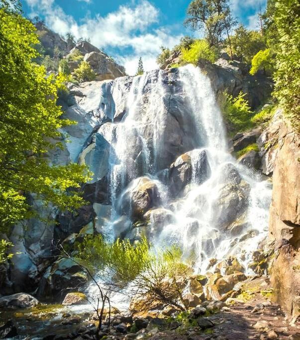 Sequoia Splendor, Inside Kings Canyon Np By Visitors Center Wilsonia Екстериор снимка