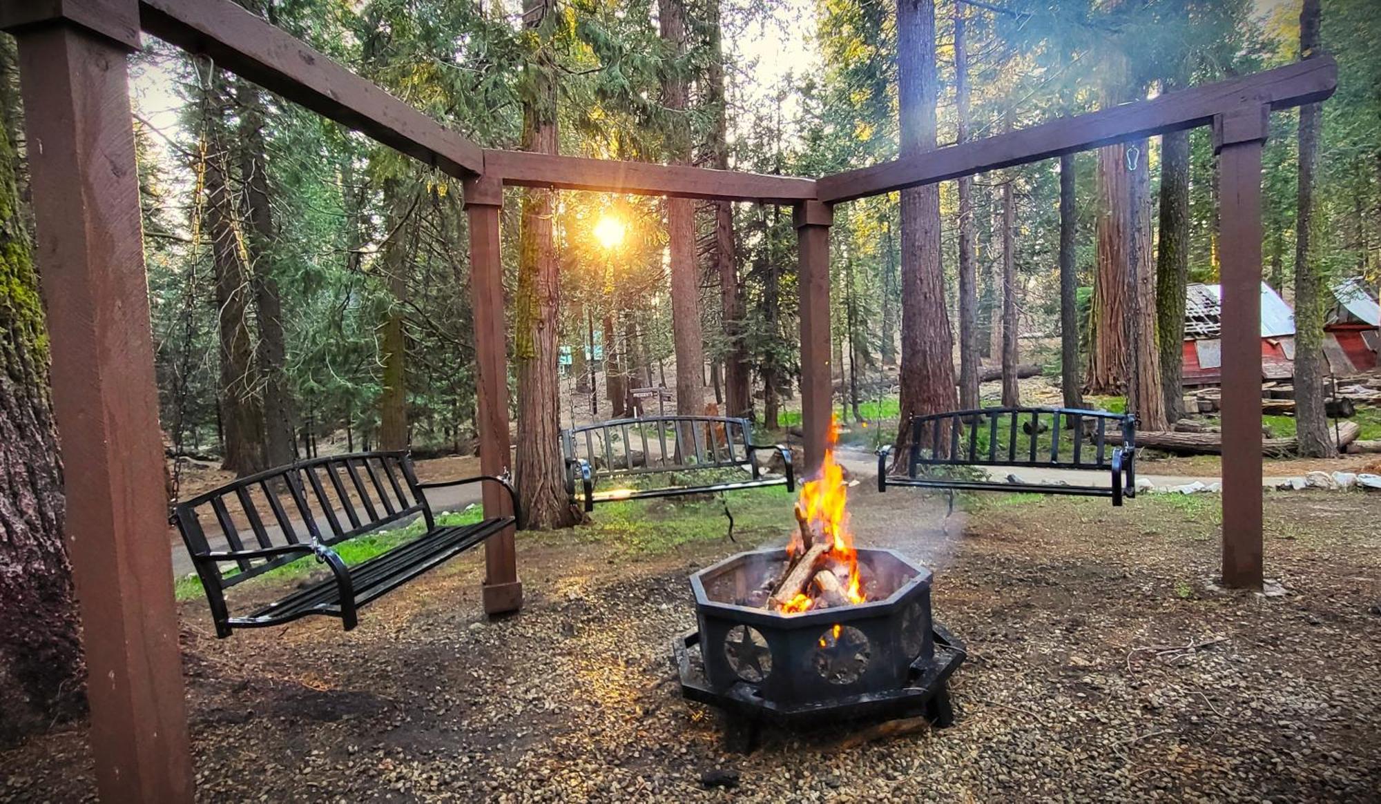 Sequoia Splendor, Inside Kings Canyon Np By Visitors Center Wilsonia Екстериор снимка